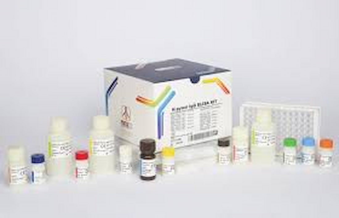 تصویر 1 از کیت تنفسی میکروب معده با سفارش سریع و کیفیت بالا